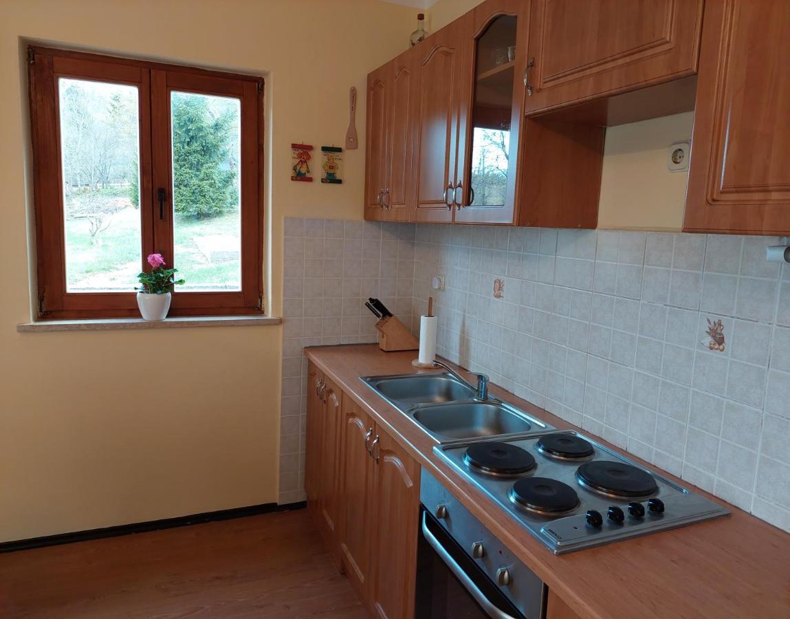 Holiday Home Cancarevic Ravna Gora Exterior photo